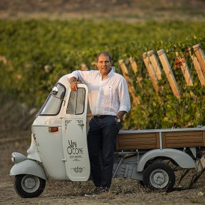 Italy, Campania, Benevento - Grape harvest time in and around the small town of Ponte, few km away from Benevento, the main city in the area. This is the Sannio region, famous for agricultural crops, specially wine. More specifically the pictures refer to grape harvest right under the Mount Taburno