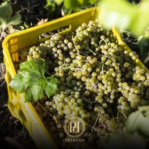 248139969_3066828086864824_4056657760492329630_n