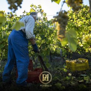 248164228_3066828090198157_1379636136814230883_n