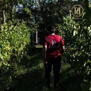 271668007_3123339277880371_6078839784550529804_n