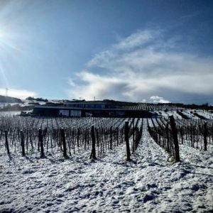 327730577_6190343794329662_8072813847505834668_n