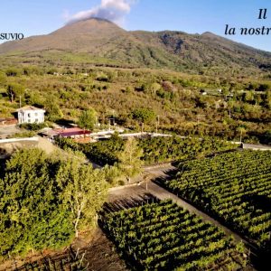 430133287_724410513140699_8262683407574755494_n