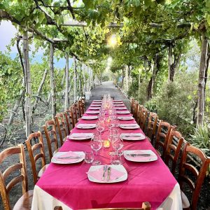 432329575_724410589807358_4631164790484602247_n