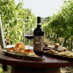 432696668_724410603140690_7865183201423202644_n