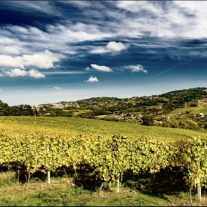 438088533_750869310494819_5812951994450173032_n