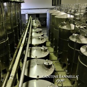 440185022_746486050933145_2144641354163103657_n