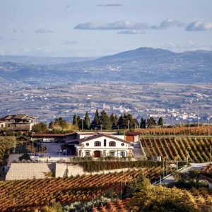 440195952_746485460933204_7152812968370065254_n