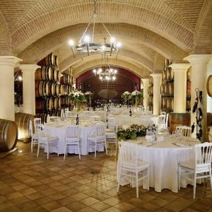 440228964_746485490933201_2591333853049965202_n