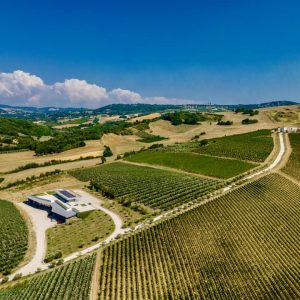 440413840_749613783953705_5239168209020528534_n