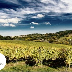 440855261_750870550494695_9062974923653873135_n