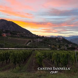 440859298_998369655169410_486573030563732217_n