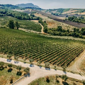 440899241_749615337286883_678670194326350383_n