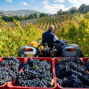 440904714_750870707161346_4039871647805787011_n