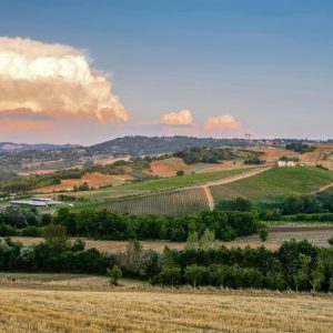 441020979_749615070620243_1271429051498208882_n