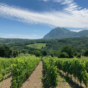 441021507_750870750494675_2190536856988213094_n