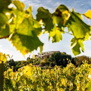 441022687_750870640494686_8493725137153786618_n