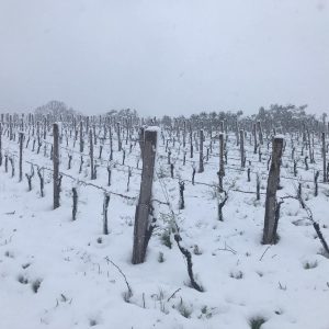 441025466_750870547161362_7802824946964483272_n