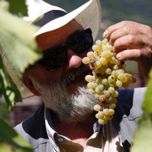 Fattoria-Albamarina-08