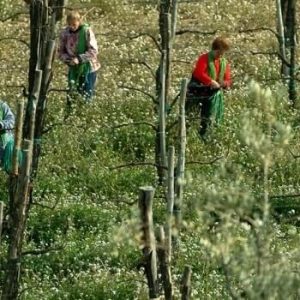 Fattoria-La-Rivolta-09