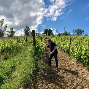 Fattoria-La-Rivolta-11