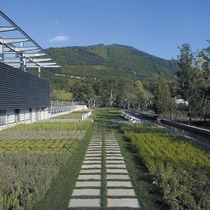 Feudi-di-San-Gregorio-04