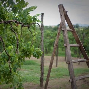 Feudi-di-San-Gregorio-08