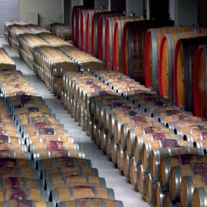 Feudi-di-San-Gregorio-11