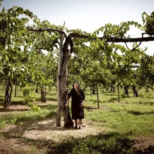 Feudi-di-San-Gregorio-25