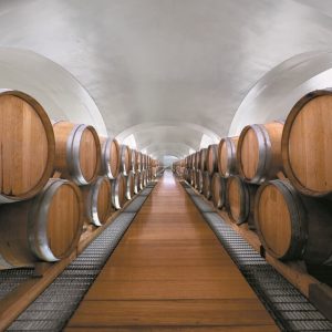 Feudi-di-San-Gregorio-26