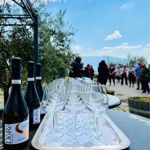 Sorrentino-Winery-12