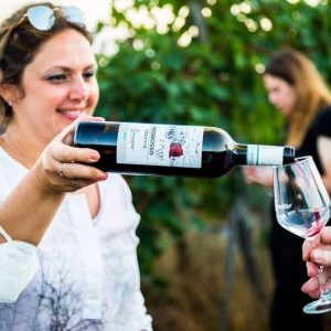 Sorrentino-Winery-15