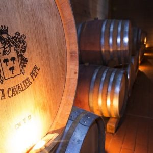 Tenuta-Cavalier-Pepe-19