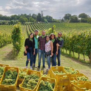 Tenuta-Cavalier-Pepe-24