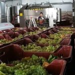 Tenuta Del Meriggio
