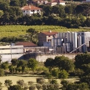 Cantina-di-Solopaca-06