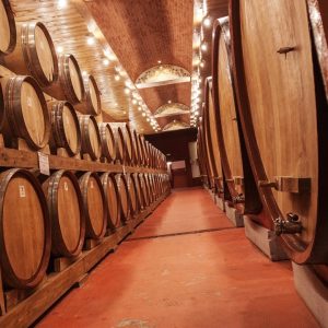 Cantina-di-Solopaca-11