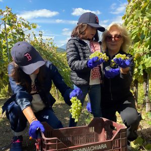 donnachiara-PANNELLO-1-scaled