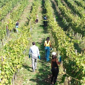 donnachiara-territorio-1