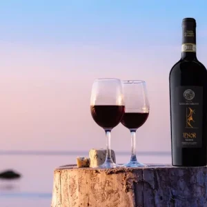 Tenor-tenuta-cavalier-ferrante