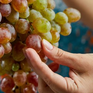 Cantine Aperte a San Martino - Aminea Winery