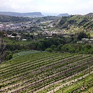 DJI_20250426111346_0024_D